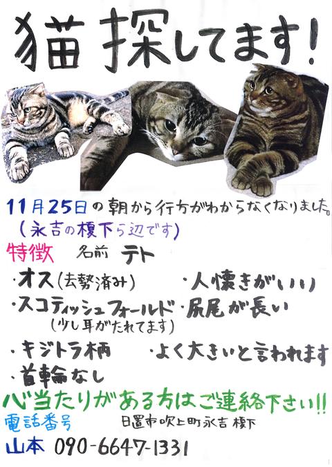 猫がいなくなった。