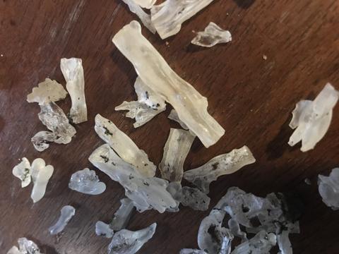 樹液に閉じ込められて固まってしまったアリ