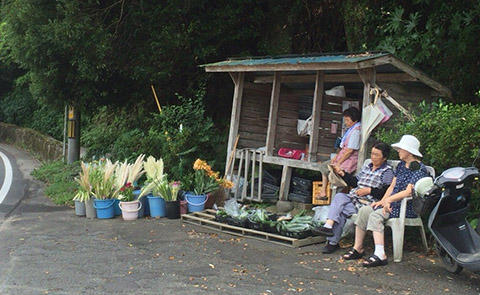 東南アジアの感覚 東南アジアの感覚