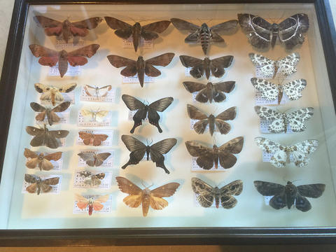 夏休みも終わりです。 夏休みも終わりです。