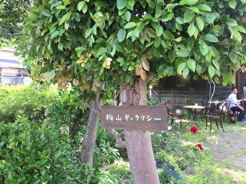 梅山ギャラクシー