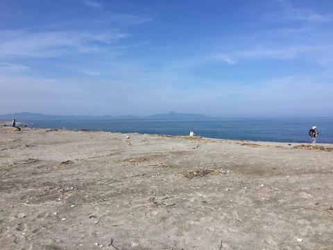 ビーチコーミング