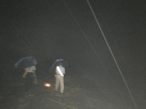 カメパトロール カメパトロール