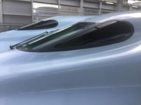 武蔵野美術大学校友会九州+沖縄合同展 武蔵野美術大学校友会九州+沖縄合同展