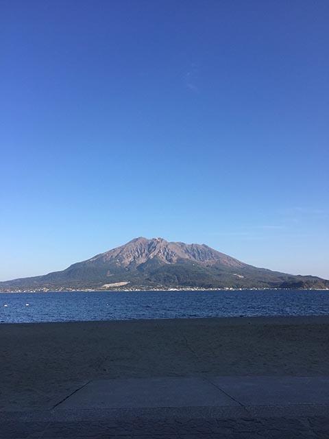ウイルス