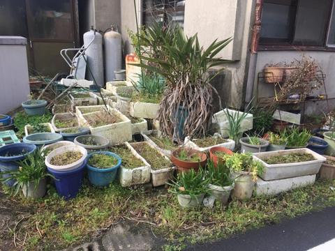 永吉商店街の今