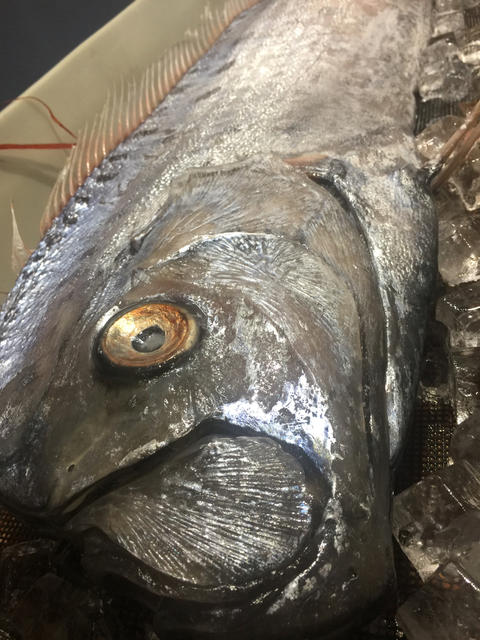 リュウグウノツカイ