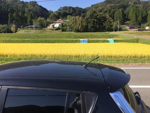 Nissan Leaf（その13）
