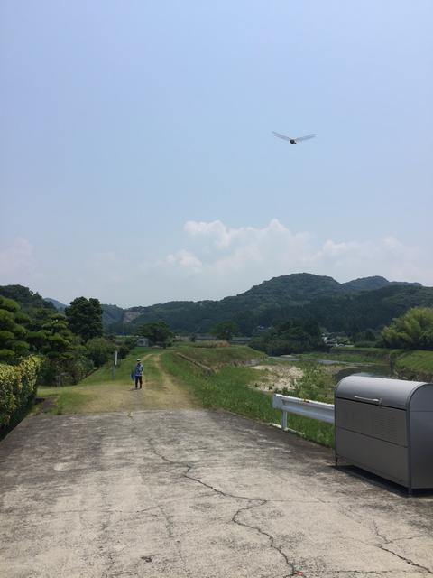 川遊び