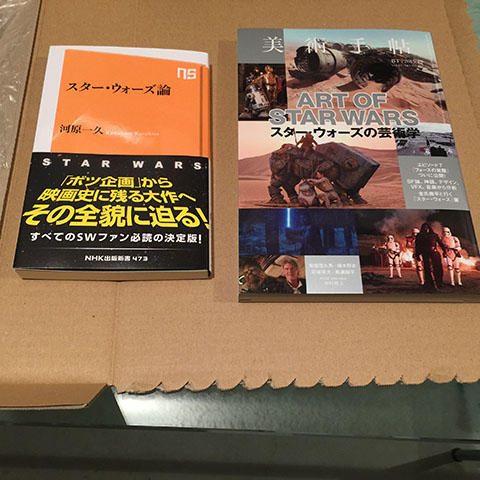 公開目前