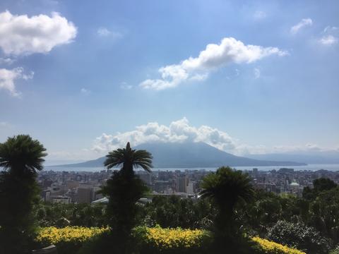 ある展覧会の打ち合わせ ある展覧会の打ち合わせ