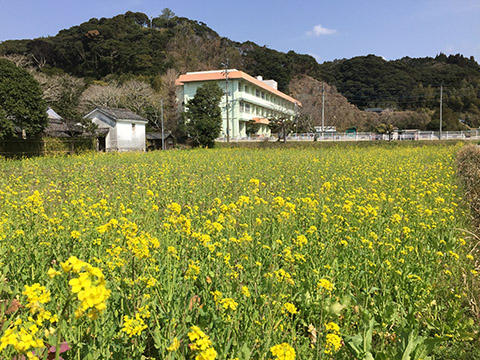 永吉小学校の春