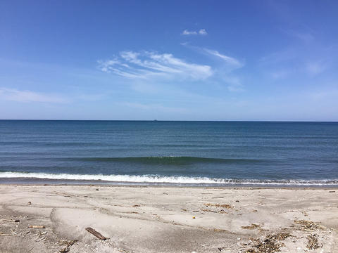 東京から弟が来た