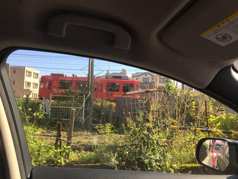 いろんな展示 いろんな展示