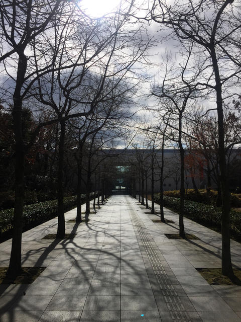 パンダ絵師 あごぱん「パンダの森」展@霧島アートの森