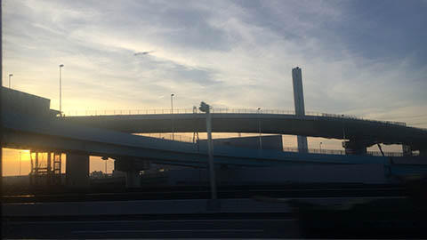 夏至らしい 夏至らしい