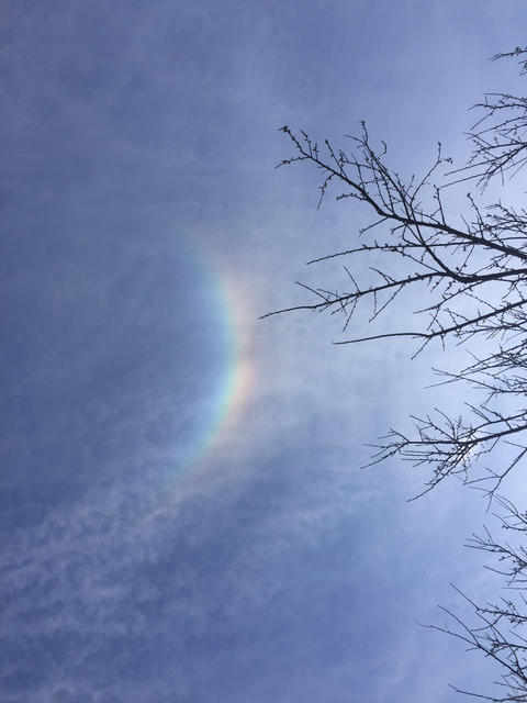 虹かと思ったら