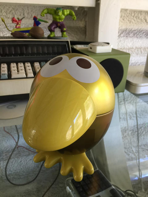 キョロちゃん届く