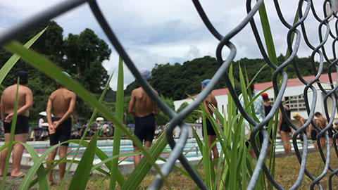 水泳大会 水泳大会